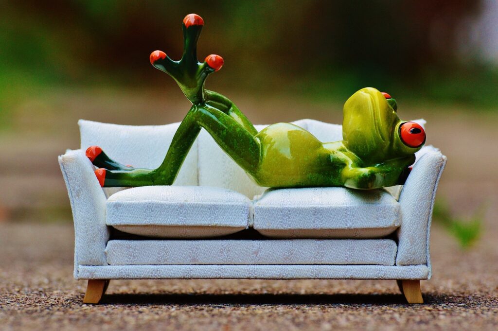 frog on a sofa