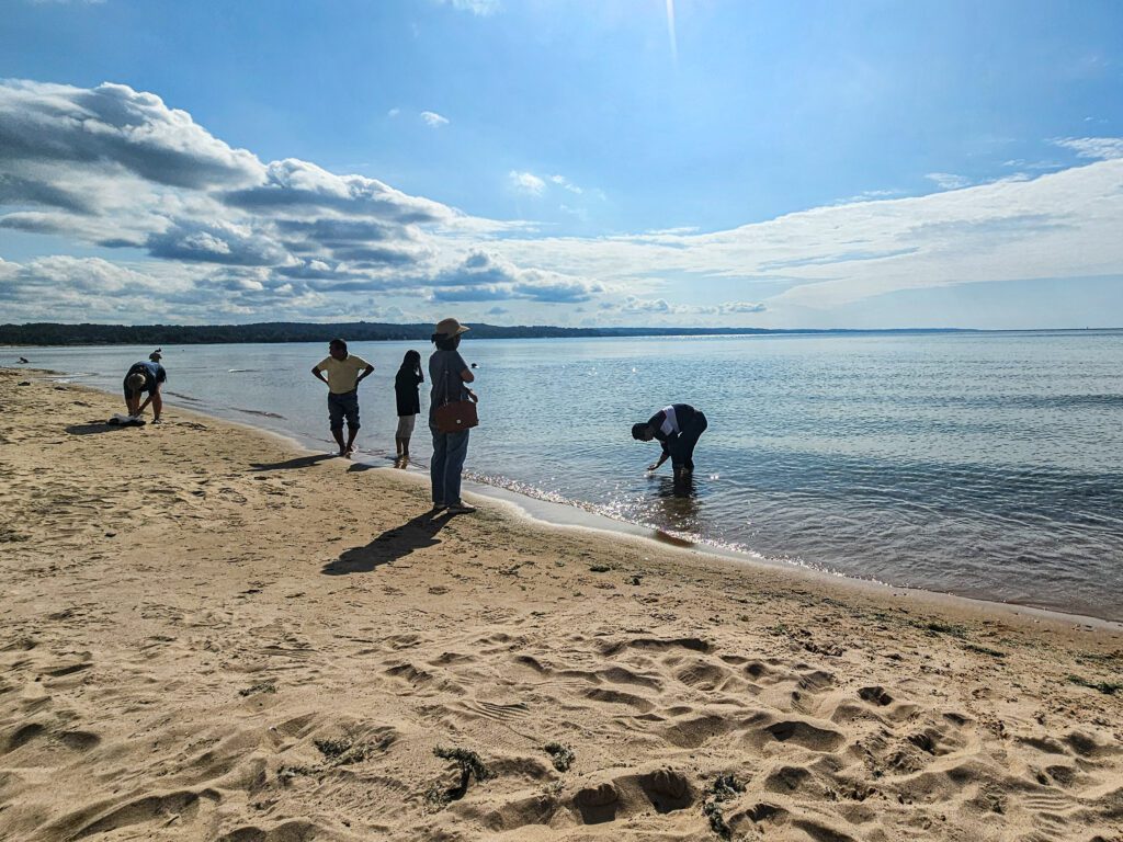 Petoskey Search-1