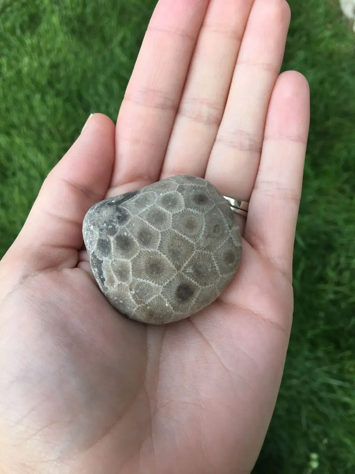 petoskey stone visit charlevoix
